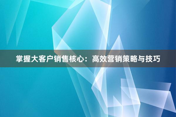 掌握大客户销售核心：高效营销策略与技巧